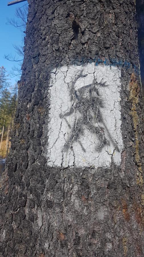 Skaly Spaly Przesieka Esterno foto