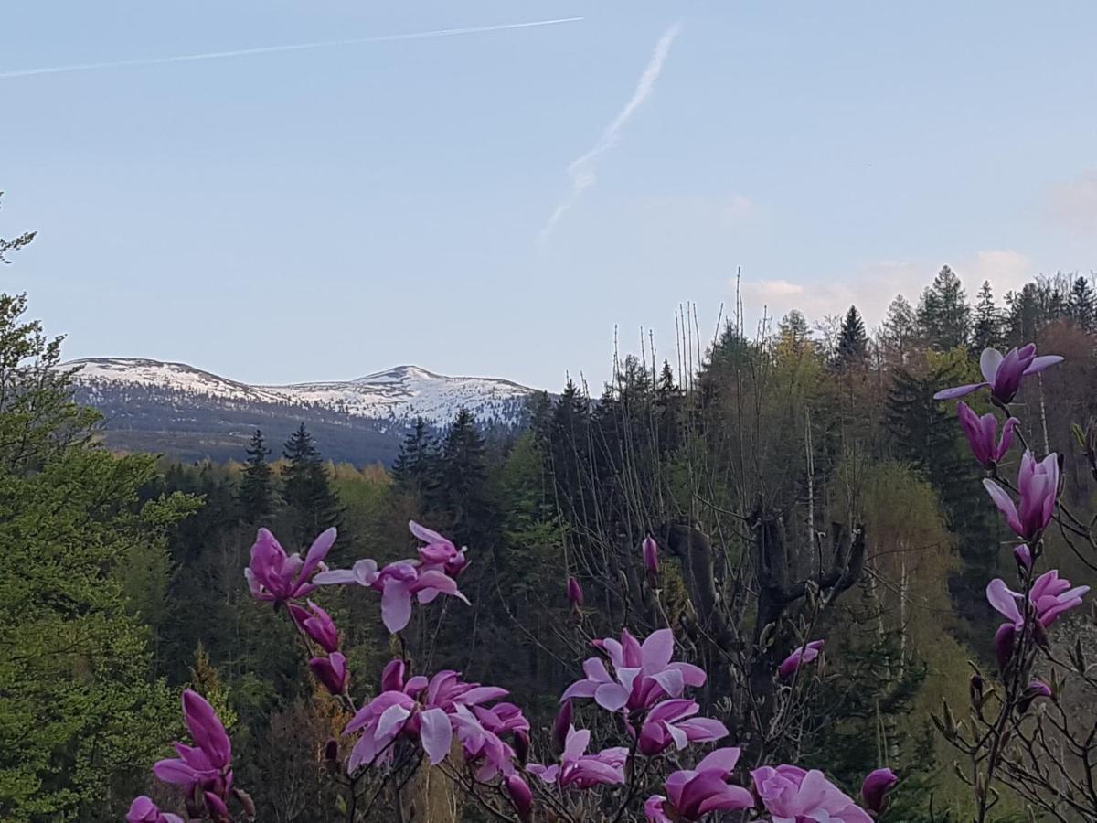 Skaly Spaly Przesieka Esterno foto